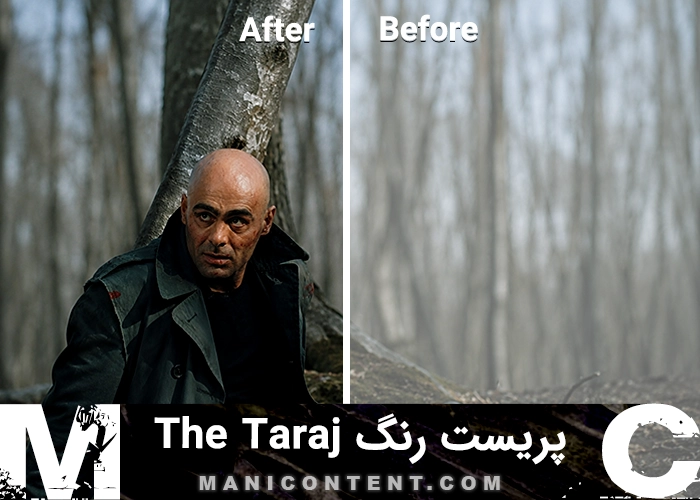 جمشید هاشم پور پریست رنگ سینمایی سرد Jamshid Hashempour Cinematic Cold Preset DaVinci Resolve