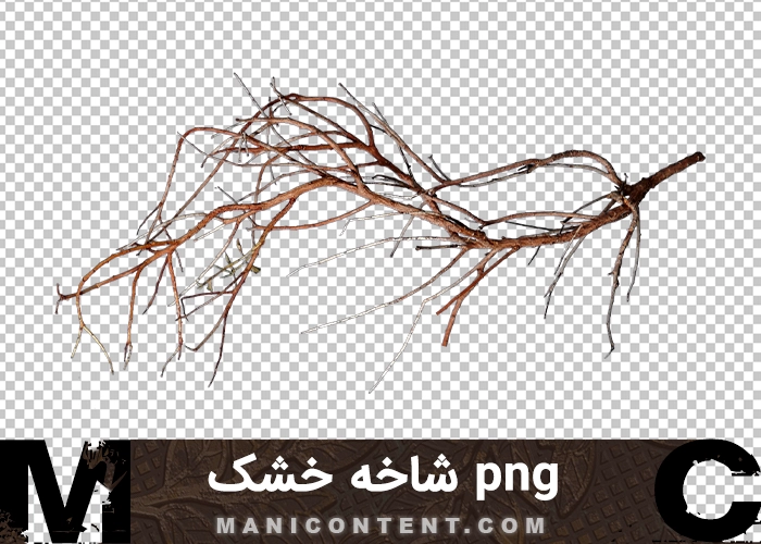 png شاخه خشک درخت dry tree branch