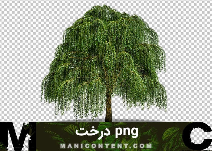 png درخت tree